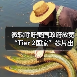 微软呼吁美国政府放宽“Tier 2国家”芯片出口管制,平衡安全与商业利益(图4) 微软呼吁美国政府放宽“Tier 2国家”芯片出口管制,平衡安全与商业利益(图4)