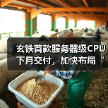 玄铁首款服务器级CPU下月交付,加快布局“高性能+AI”RISC-V全链路(图3) 玄铁首款服务器级CPU下月交付,加快布局“高性能+AI”RISC-V全链路(图3)