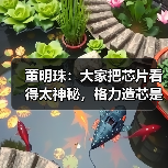 董明珠:大家把芯片看得太神秘,格力造芯是中国制造企业的担当(图3) 董明珠:大家把芯片看得太神秘,格力造芯是中国制造企业的担当(图3)