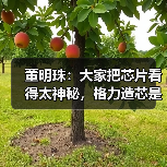 董明珠:大家把芯片看得太神秘,格力造芯是中国制造企业的担当(图1) 董明珠:大家把芯片看得太神秘,格力造芯是中国制造企业的担当(图1)