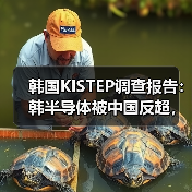 韩国KISTEP调查报告：韩半导体被中国反超，是“捧杀”还是事实？（图3）