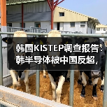 韩国KISTEP调查报告：韩半导体被中国反超，是“捧杀”还是事实？（图4）