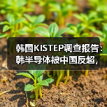 韩国KISTEP调查报告：韩半导体被中国反超，是“捧杀”还是事实？（图2）