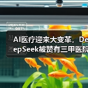 AI医疗迎来大变革,DeepSeek被赞有三甲医院专家水平!(图2) AI医疗迎来大变革,DeepSeek被赞有三甲医院专家水平!(图2)
