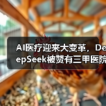 AI医疗迎来大变革,DeepSeek被赞有三甲医院专家水平!(图3) AI医疗迎来大变革,DeepSeek被赞有三甲医院专家水平!(图3)