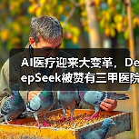 AI医疗迎来大变革,DeepSeek被赞有三甲医院专家水平!(图1) AI医疗迎来大变革,DeepSeek被赞有三甲医院专家水平!(图1)