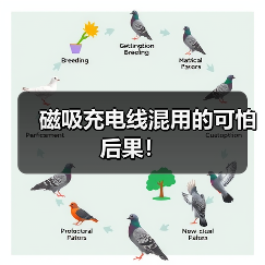 磁吸充电线混用的可怕后果!(图3) 磁吸充电线混用的可怕后果!(图3)
