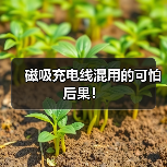 磁吸充电线混用的可怕后果!(图1) 磁吸充电线混用的可怕后果!(图1)