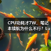 CPU功耗才7W,笔记本续航为什么不行?Lunar Lake VS Lakefield(图2) CPU功耗才7W,笔记本续航为什么不行?Lunar Lake VS Lakefield(图2)