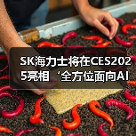 SK海力士将在CES2025亮相‘全方位面向AI的存储器供应商’的新蓝图(图3) SK海力士将在CES2025亮相‘全方位面向AI的存储器供应商’的新蓝图(图3)