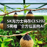 SK海力士将在CES2025亮相‘全方位面向AI的存储器供应商’的新蓝图(图2) SK海力士将在CES2025亮相‘全方位面向AI的存储器供应商’的新蓝图(图2)