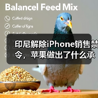 印尼解除iPhone销售禁令，苹果做出了什么承诺？（图2）