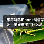 印尼解除iPhone销售禁令，苹果做出了什么承诺？（图1）