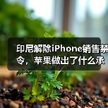 印尼解除iPhone销售禁令，苹果做出了什么承诺？（图4）