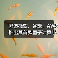 紧追微软、谷歌,AWS推出其首款量子计算芯片Ocelot(图4) 紧追微软、谷歌,AWS推出其首款量子计算芯片Ocelot(图4)