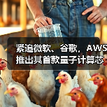 紧追微软、谷歌,AWS推出其首款量子计算芯片Ocelot(图2) 紧追微软、谷歌,AWS推出其首款量子计算芯片Ocelot(图2)