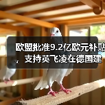 欧盟批准9.2亿欧元补贴,支持英飞凌在德国建芯片厂(图2) 欧盟批准9.2亿欧元补贴,支持英飞凌在德国建芯片厂(图2)