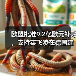 欧盟批准9.2亿欧元补贴,支持英飞凌在德国建芯片厂(图3) 欧盟批准9.2亿欧元补贴,支持英飞凌在德国建芯片厂(图3)