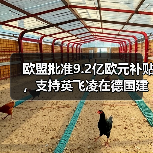 欧盟批准9.2亿欧元补贴,支持英飞凌在德国建芯片厂(图4) 欧盟批准9.2亿欧元补贴,支持英飞凌在德国建芯片厂(图4)