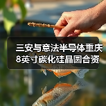 三安与意法半导体重庆8英寸碳化硅晶圆合资厂正式通线(图3) 三安与意法半导体重庆8英寸碳化硅晶圆合资厂正式通线(图3)