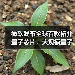 微软发布全球首款拓扑量子芯片,大规模量子计算时代加速到来(图2) 微软发布全球首款拓扑量子芯片,大规模量子计算时代加速到来(图2)