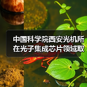 中国科学院西安光机所在光子集成芯片领域取得系列进展(图3) 中国科学院西安光机所在光子集成芯片领域取得系列进展(图3)
