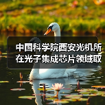 中国科学院西安光机所在光子集成芯片领域取得系列进展(图1) 中国科学院西安光机所在光子集成芯片领域取得系列进展(图1)