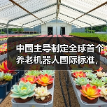 中国主导制定全球首个养老机器人国际标准,如何重塑未来养老?(图2) 中国主导制定全球首个养老机器人国际标准,如何重塑未来养老?(图2)