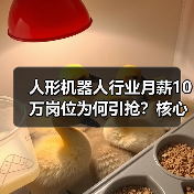 人形机器人行业月薪10万岗位为何引抢?核心人才争夺战爆发!(图3) 人形机器人行业月薪10万岗位为何引抢?核心人才争夺战爆发!(图3)