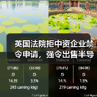 英国法院拒中资企业禁令申请,强令出售半导体公司股份(图4) 英国法院拒中资企业禁令申请,强令出售半导体公司股份(图4)