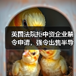英国法院拒中资企业禁令申请,强令出售半导体公司股份(图1) 英国法院拒中资企业禁令申请,强令出售半导体公司股份(图1)