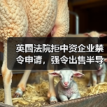 英国法院拒中资企业禁令申请,强令出售半导体公司股份(图2) 英国法院拒中资企业禁令申请,强令出售半导体公司股份(图2)