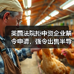 英国法院拒中资企业禁令申请,强令出售半导体公司股份(图3) 英国法院拒中资企业禁令申请,强令出售半导体公司股份(图3)