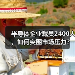 半导体企业裁员2400人,如何突围市场压力?(图2) 半导体企业裁员2400人,如何突围市场压力?(图2)