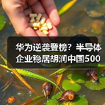 华为逆袭登榜?半导体企业稳居胡润中国500强榜首(图4) 华为逆袭登榜?半导体企业稳居胡润中国500强榜首(图4)