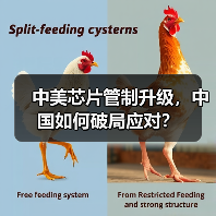 中美芯片管制升级,中国如何破局应对?(图3) 中美芯片管制升级,中国如何破局应对?(图3)