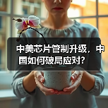 中美芯片管制升级,中国如何破局应对?(图4) 中美芯片管制升级,中国如何破局应对?(图4)