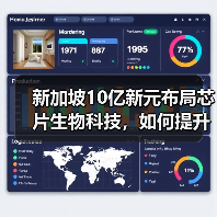 新加坡10亿新元布局芯片生物科技，如何提升全球竞争力？（图2）