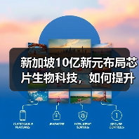 新加坡10亿新元布局芯片生物科技，如何提升全球竞争力？（图3）