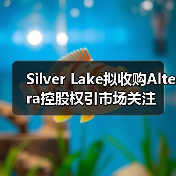 Silver Lake拟收购Altera控股权引市场关注（图1）