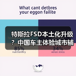 特斯拉FSD本土化升级?中国车主体验城市辅助驾驶功能上线(图2) 特斯拉FSD本土化升级?中国车主体验城市辅助驾驶功能上线(图2)