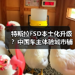特斯拉FSD本土化升级?中国车主体验城市辅助驾驶功能上线(图3) 特斯拉FSD本土化升级?中国车主体验城市辅助驾驶功能上线(图3)