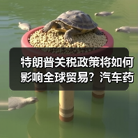 特朗普关税政策将如何影响全球贸易?汽车药品芯片迎大变局(图2) 特朗普关税政策将如何影响全球贸易?汽车药品芯片迎大变局(图2)