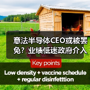 意法半导体CEO或被罢免？业绩低迷政府介入（图1）