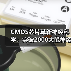 CMOS芯片革新神经科学:突破2000大鼠神经元连接图谱绘制(图2) CMOS芯片革新神经科学:突破2000大鼠神经元连接图谱绘制(图2)