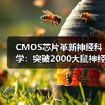 CMOS芯片革新神经科学:突破2000大鼠神经元连接图谱绘制(图4) CMOS芯片革新神经科学:突破2000大鼠神经元连接图谱绘制(图4)