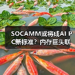 SOCAMM或将成AI PC新标准?内存巨头联手攻克技术壁垒(图4) SOCAMM或将成AI PC新标准?内存巨头联手攻克技术壁垒(图4)
