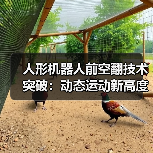 人形机器人前空翻技术突破:动态运动新高度?(图3) 人形机器人前空翻技术突破:动态运动新高度?(图3)