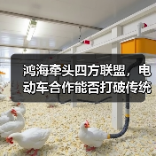 鸿海牵头四方联盟,电动车合作能否打破传统车企困局?(图2) 鸿海牵头四方联盟,电动车合作能否打破传统车企困局?(图2)