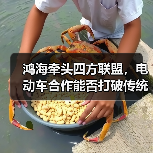鸿海牵头四方联盟,电动车合作能否打破传统车企困局?(图3) 鸿海牵头四方联盟,电动车合作能否打破传统车企困局?(图3)